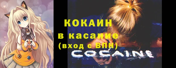 сатива Балахна