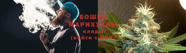 сатива Балахна