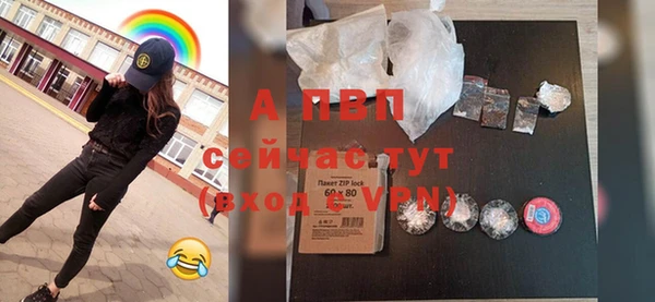 сатива Балахна