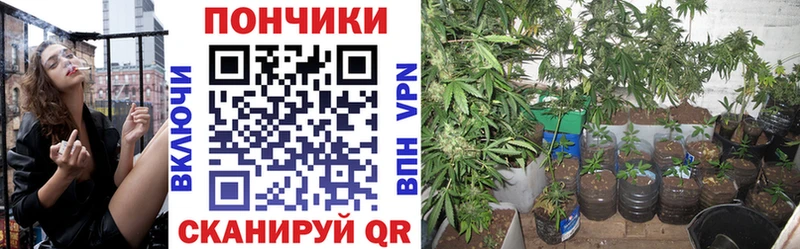 Купить где Южа Каннабис Ganja